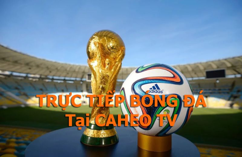 Caheo tv - Trực tiếp bóng đá cá heo tv, xem bóng đá caheotv