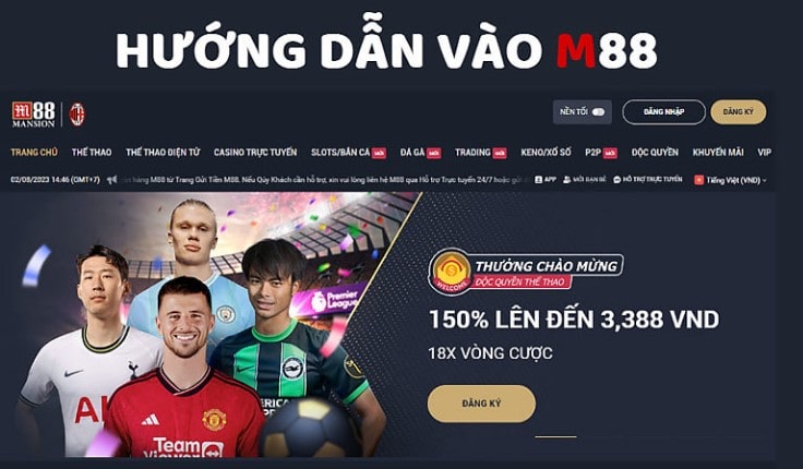 Nhà Cái Cá Cược Trực Tuyến